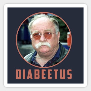 Newest funny design for Diabeetus lovers design Magnet